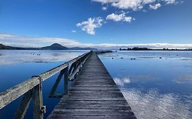 Kiwi Cabin With Geothermal Pool By Lake Taupo